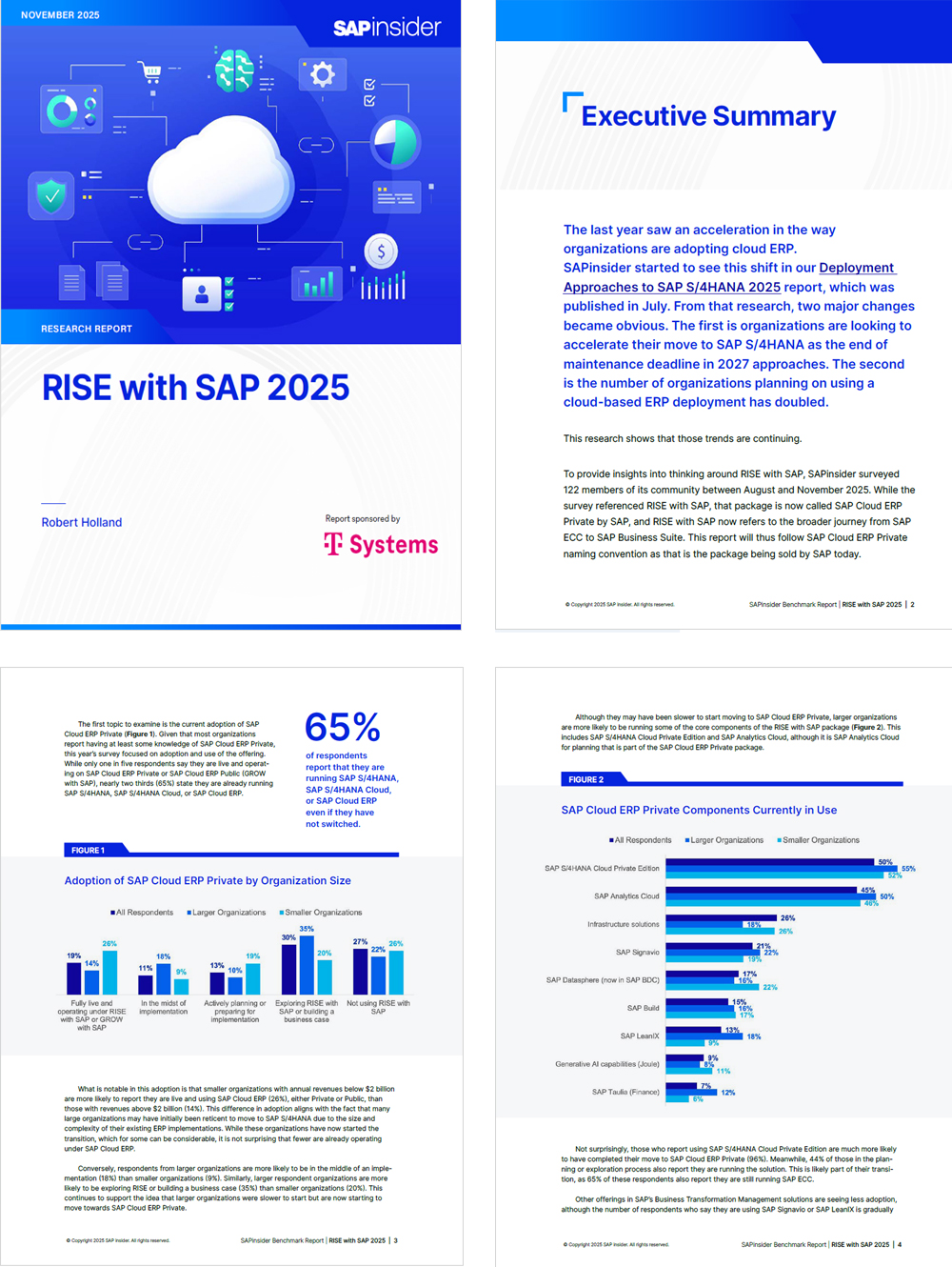 Benchmark-Bericht zu RISE with SAP – T-Systems