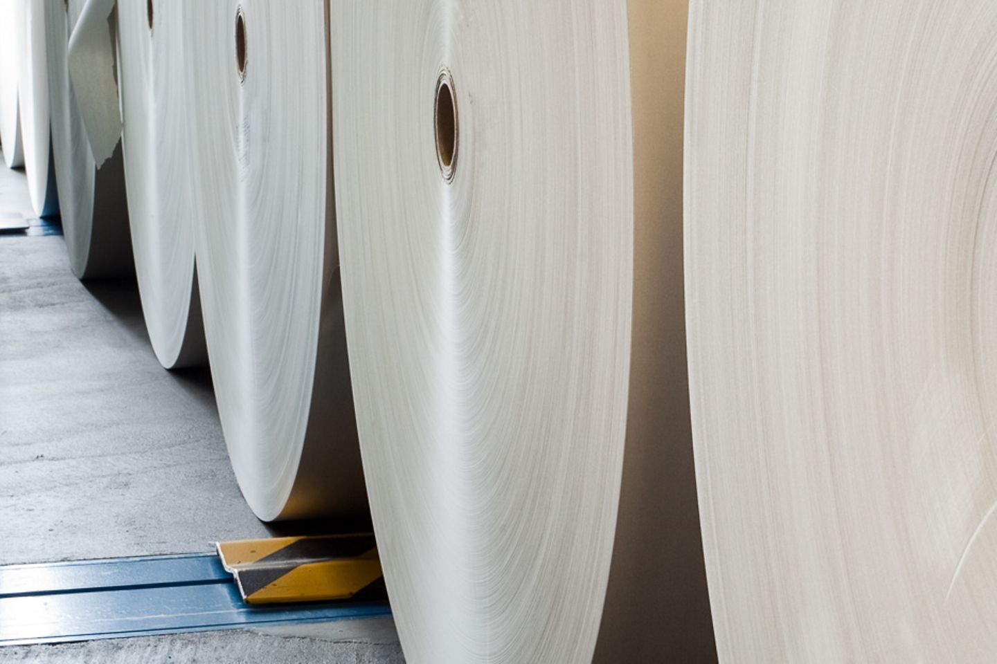 Close-up of several large paper rolls in a room