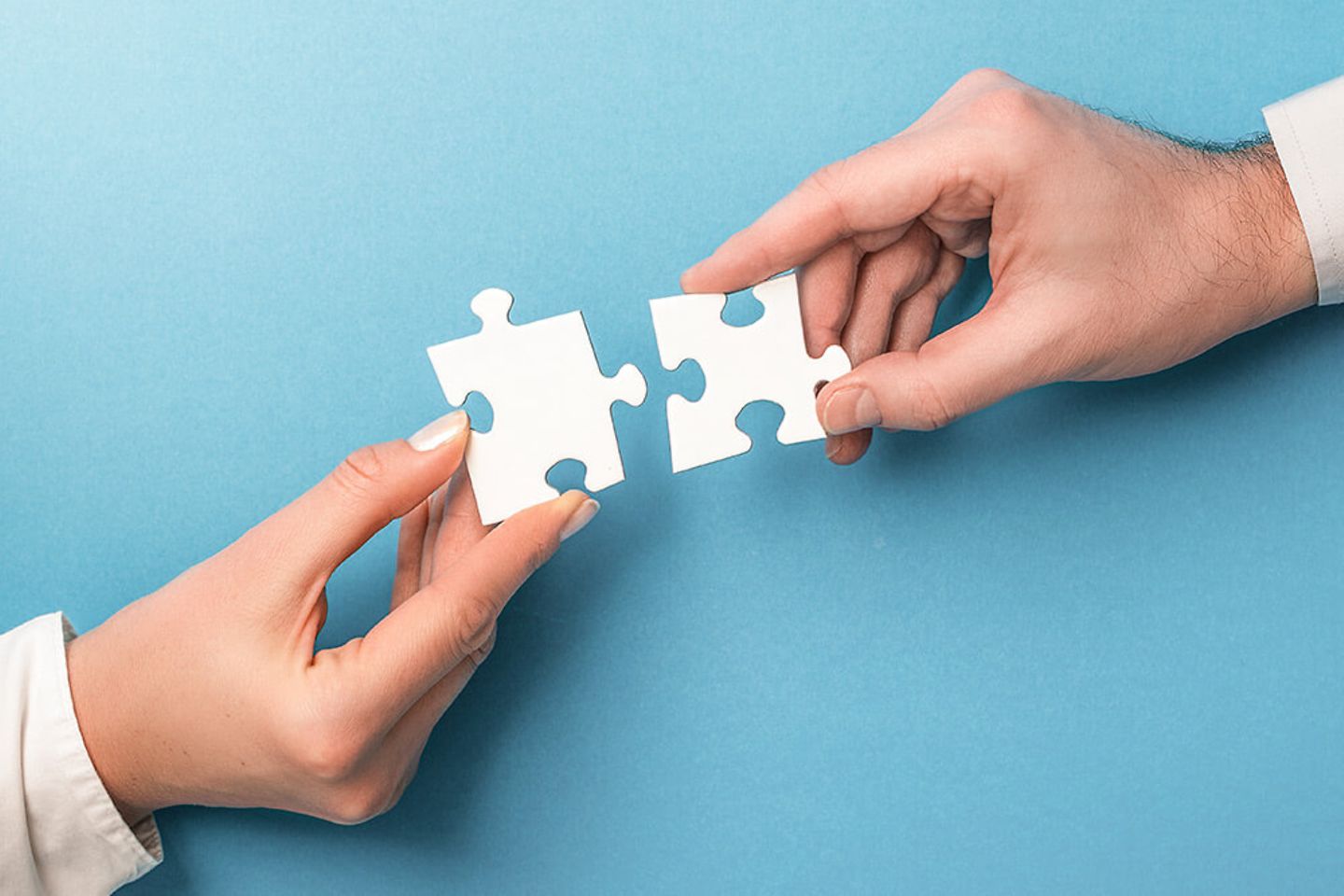 People hold a puzzle in their hands