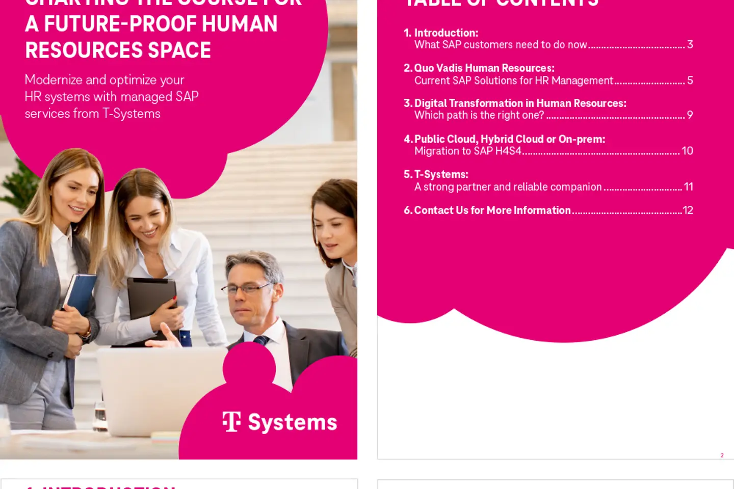 Aperçu du livre blanc