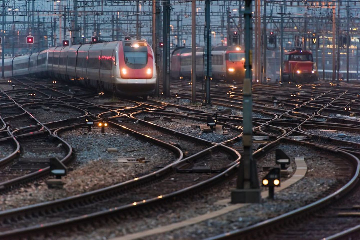 Un tren sobre raíles