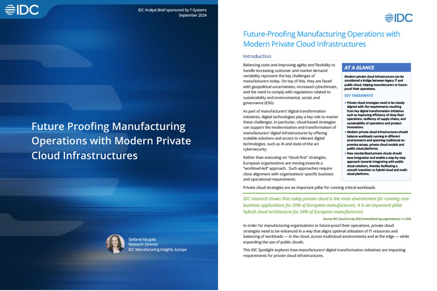 Screenshot van de cover en de volgende pagina van de whitepaper: 