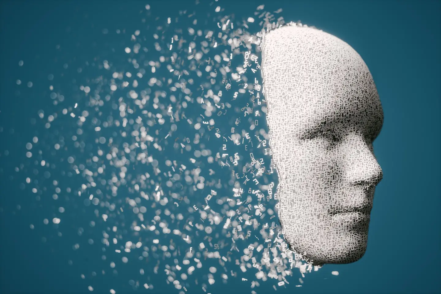 Cabeza, representada virtualmente