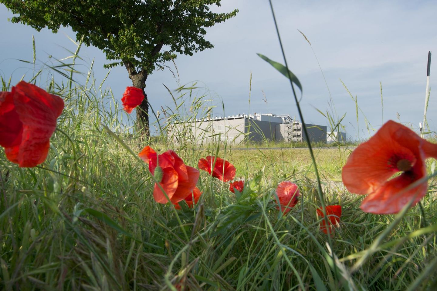 Exterior view of the cloud data center in Biere