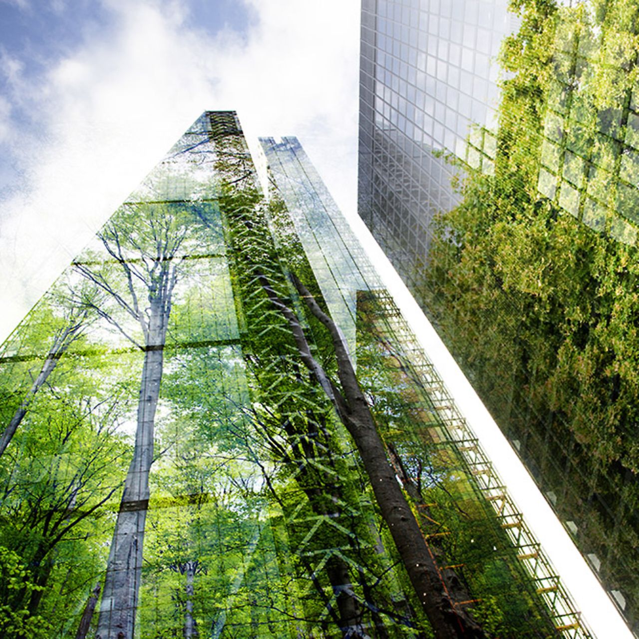 A lush green forest is reflected in the windows of a modern skyscraper