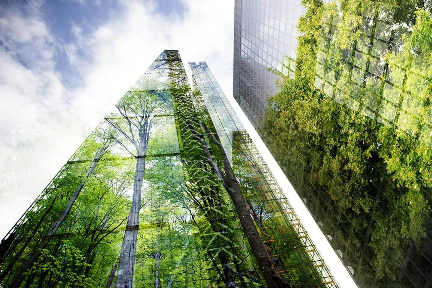 A lush green forest is reflected in the windows of a modern skyscraper