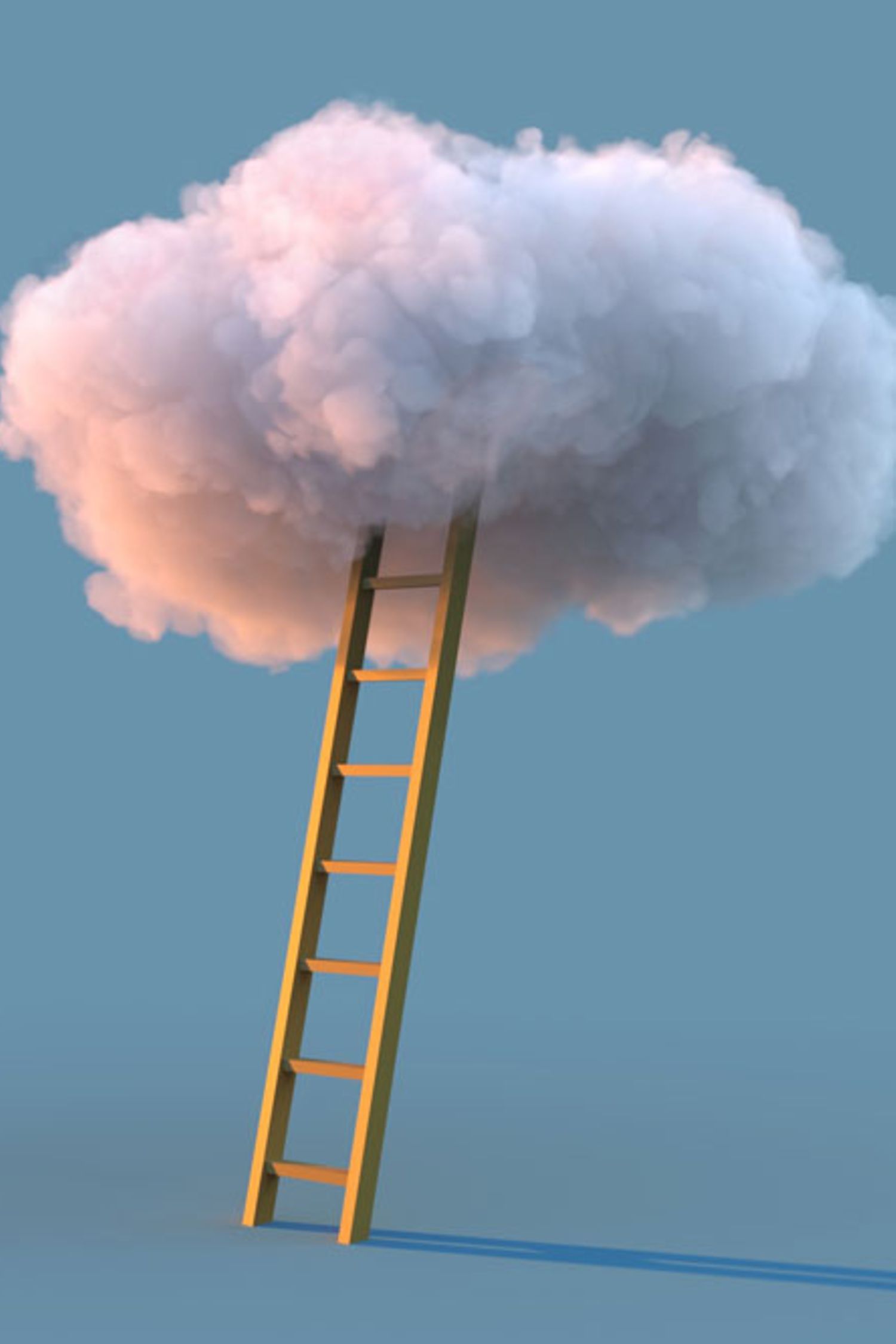 ladder to the white cloud