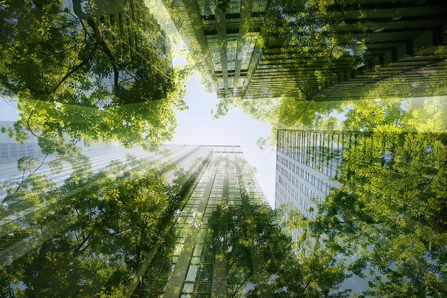Skyscrapers disappearing in a green forest