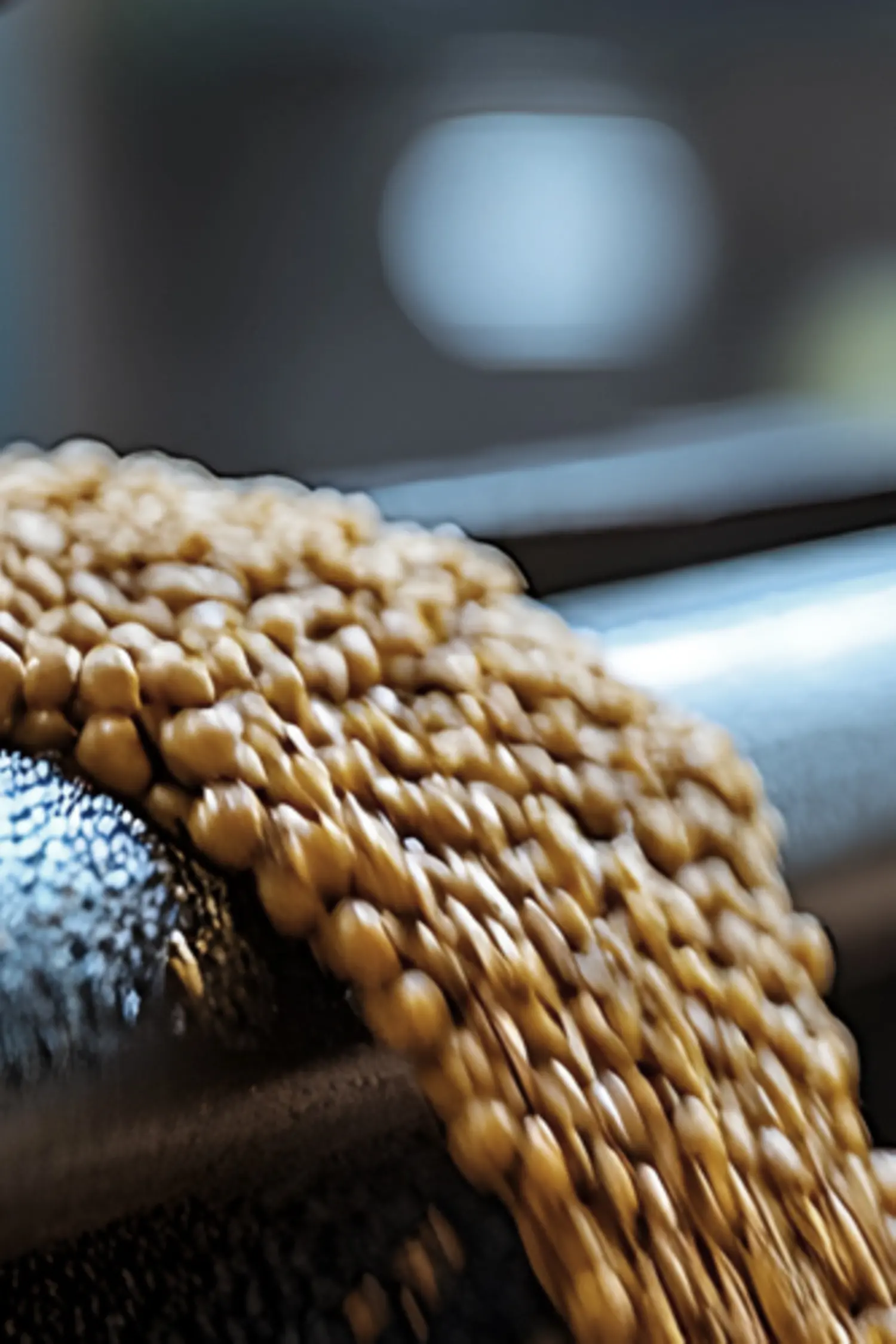 AI-generated image - Soybean Processing and Industrial Agriculture Conveyor