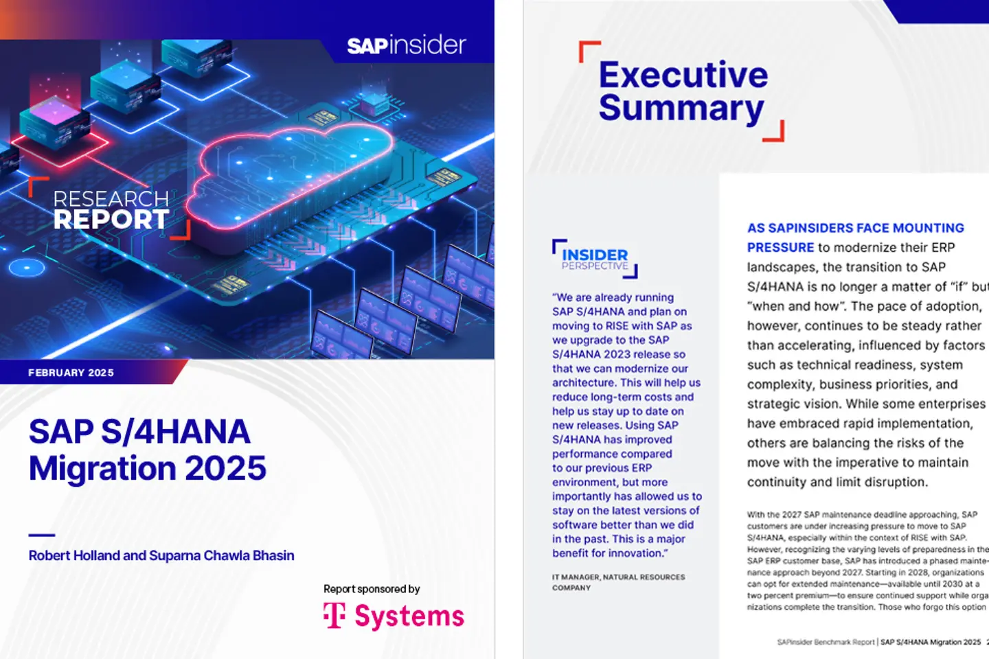 Portada y la siguiente página como captura de pantalla del whitepaper: 