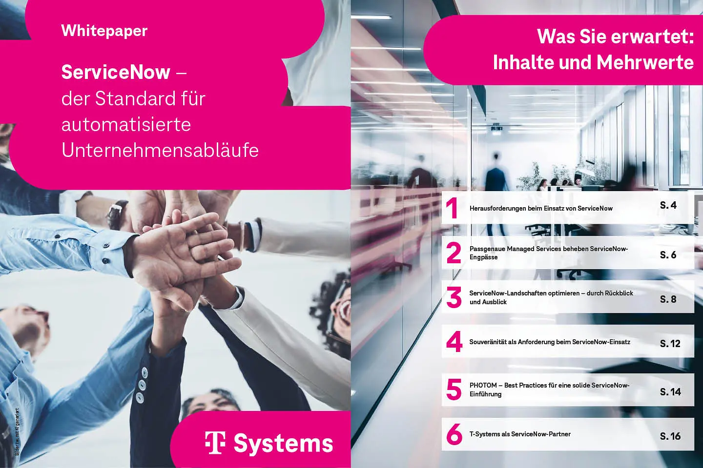 Cover und die nächste Seite als Screenshot des Whitepapers: 