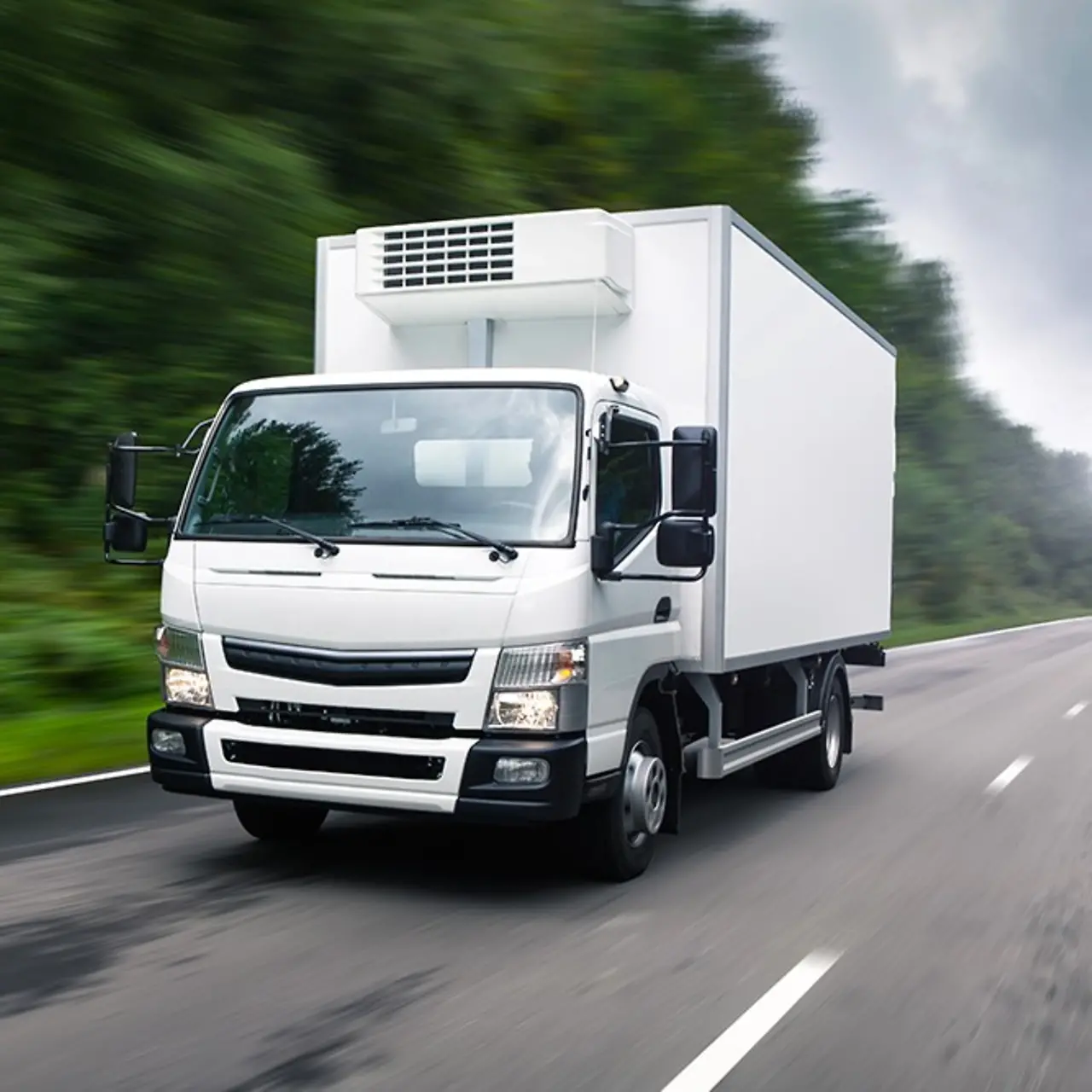 Un camion blanc roule sur une route de campagne