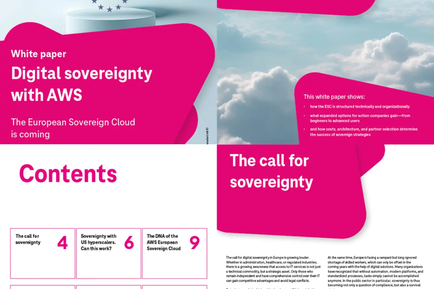 Page de couverture et trois pages suivantes du livre blanc sous forme de capture d’écran :