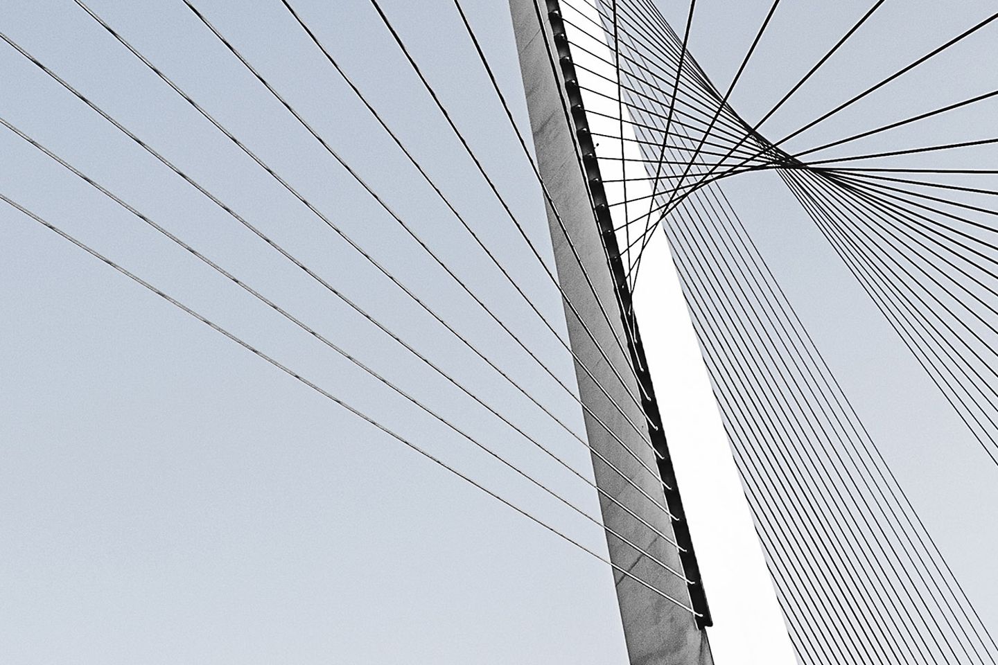 Graphics of many black lines, whose distance to the outside is getting bigger and bigger.