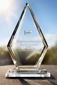SAP Partner of the Year 2026 Public award, image edited with AI