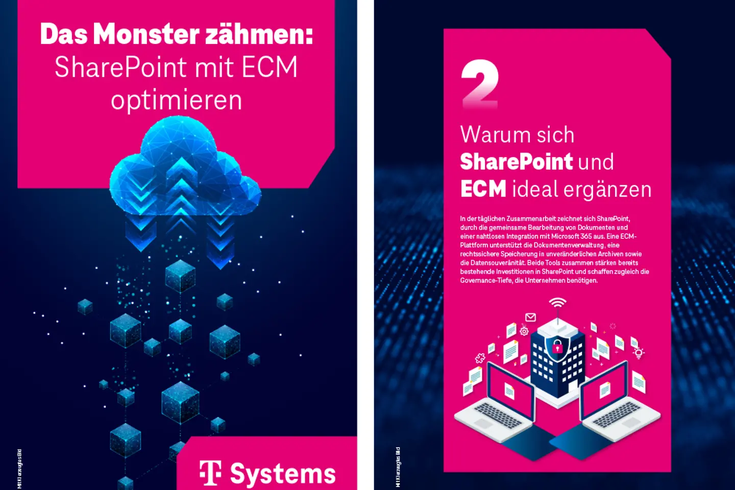 Cover und die nächste Seite als Screenshot des Whitepapers: 
