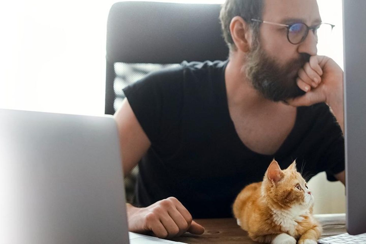 Un hombre se sienta en una mesa y mira una pantalla, en la mesa hay una computadora portátil y un gato.