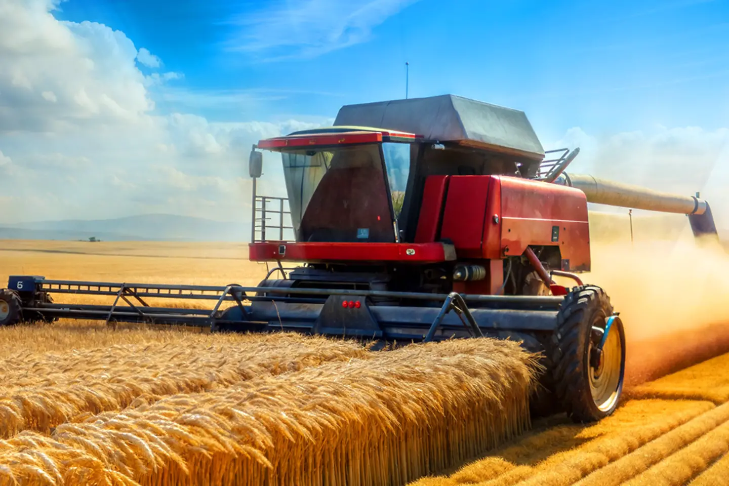 a wheat field with a combine harvester on the left with a large expanse of clear sky 
