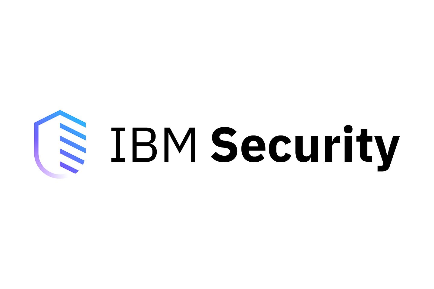 IBM logo and Silver Business Partner beneath it