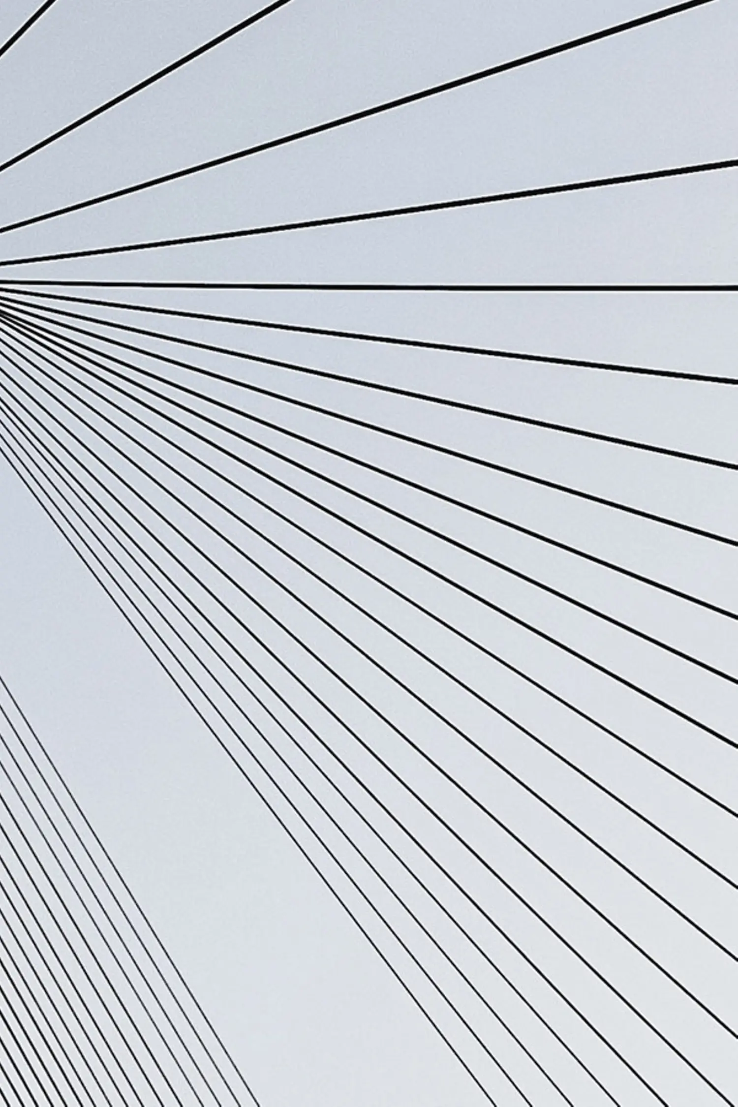 Graphics of many black lines, whose distance to the outside is getting bigger and bigger.