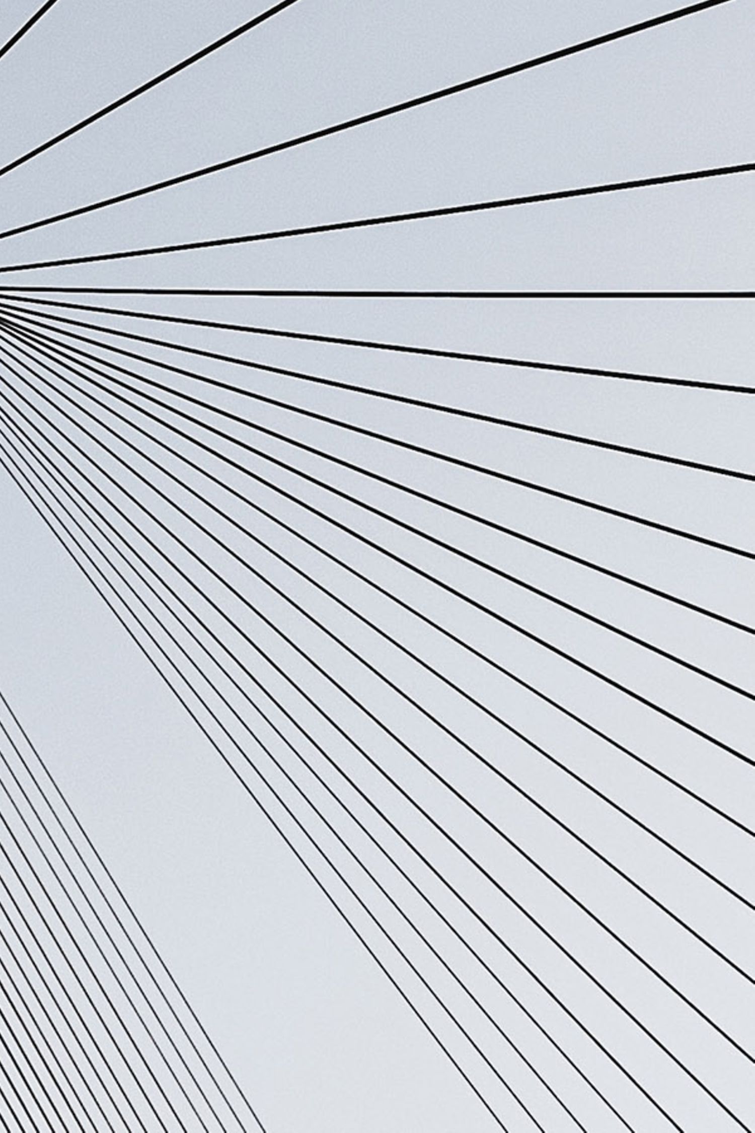 Graphics of many black lines, whose distance to the outside is getting bigger and bigger.