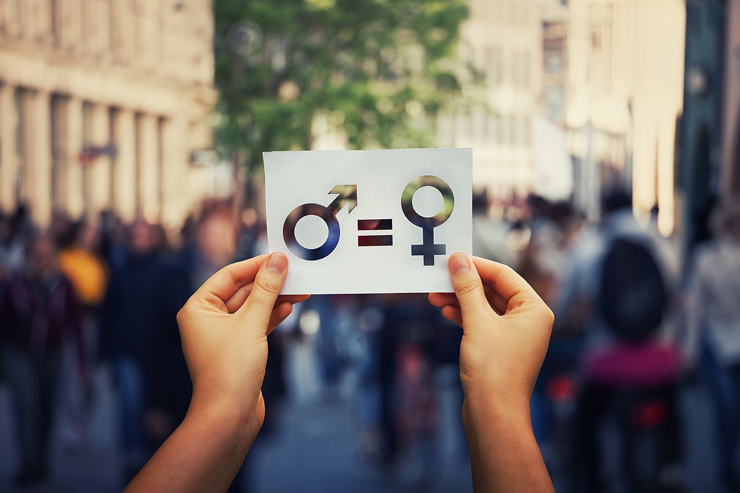 Male sign equals female sign on a piece of paper