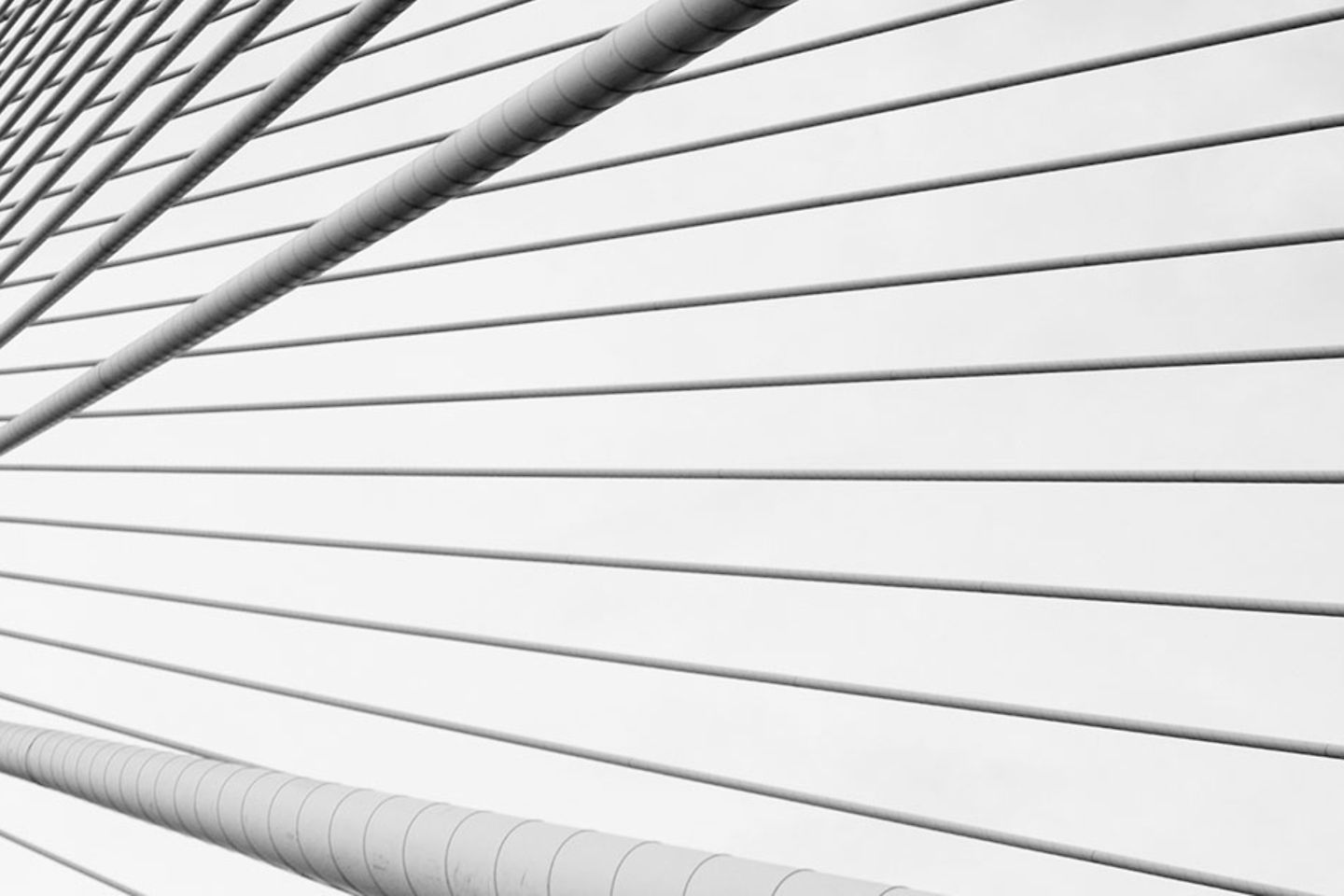 Zwart-wit foto van verschillende, tuikabels van een brug
