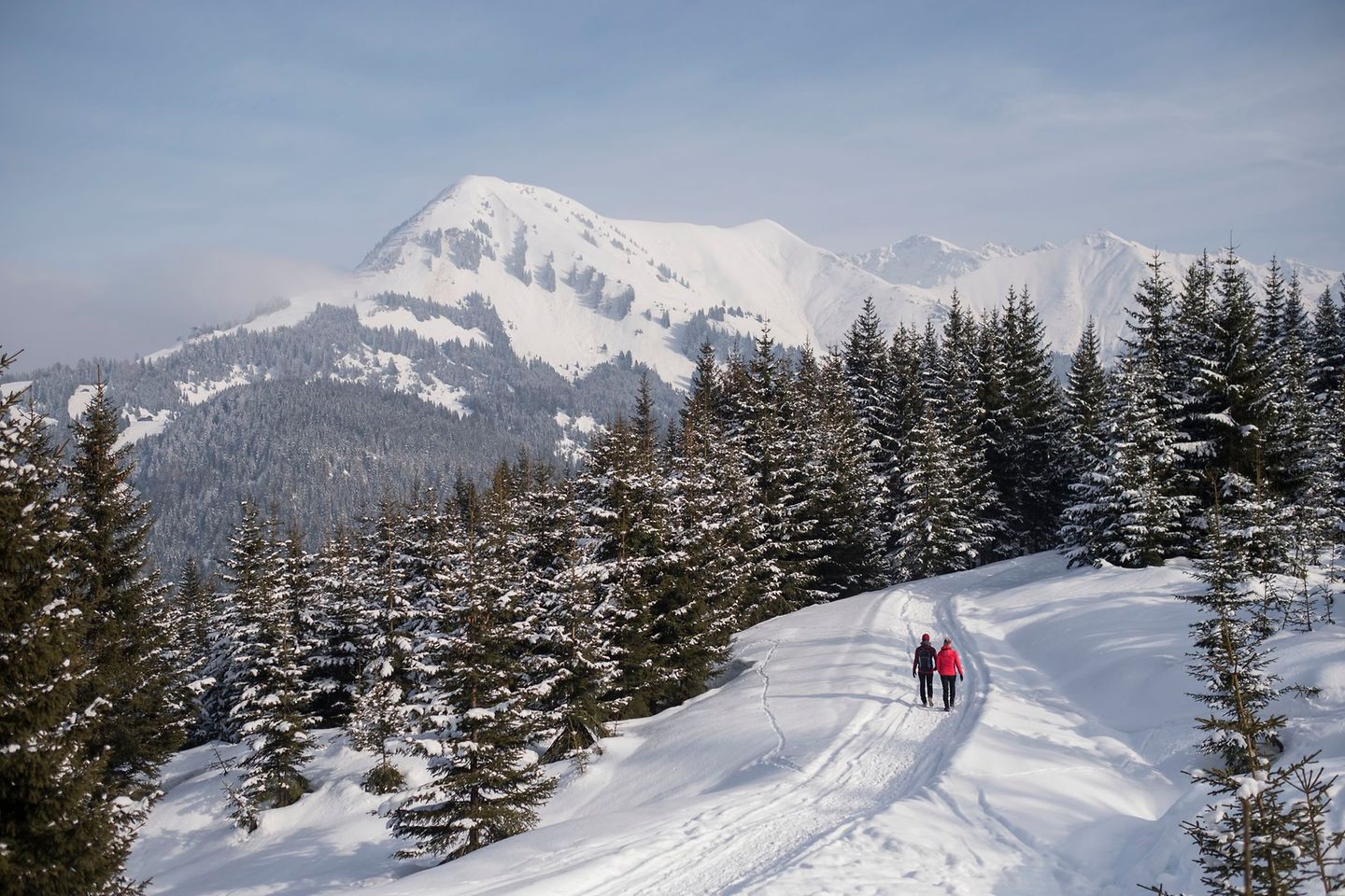 Verschneites Bergpanorama