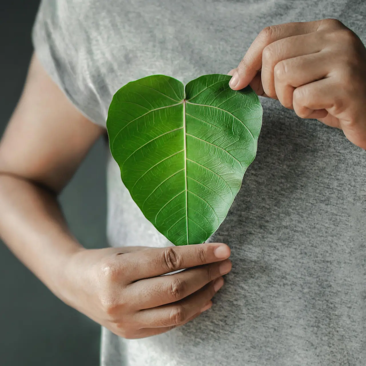 Pessoa segura uma folha verde em forma de coração.