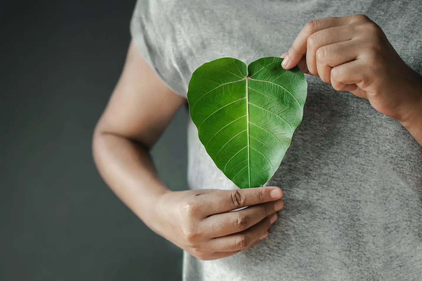 Una persona sostiene una hoja verde en forma de corazón.