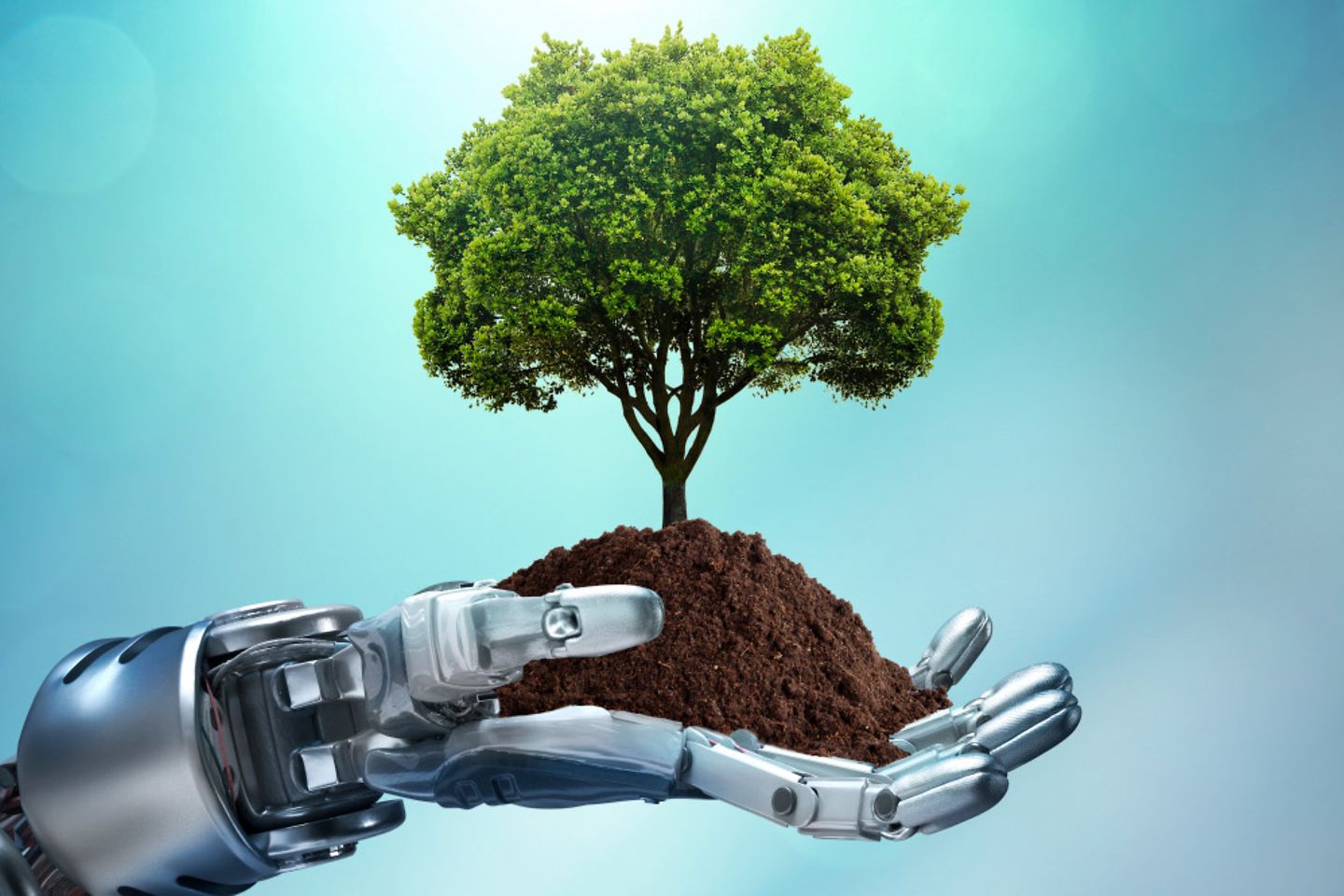 A robotic hand holds a pile of earth and a tree is growing from it