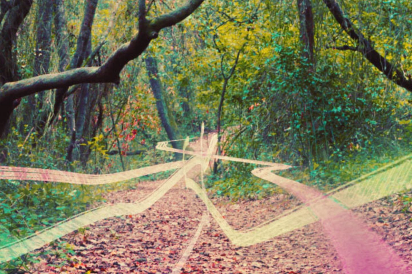 Colourful lines that run through a forest path