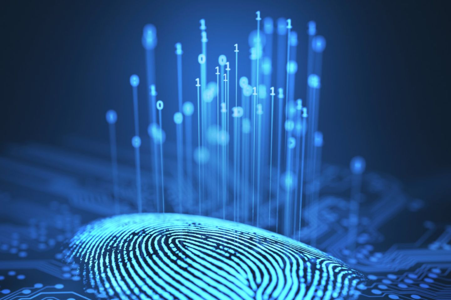 Digital Fingerprint with numbers above