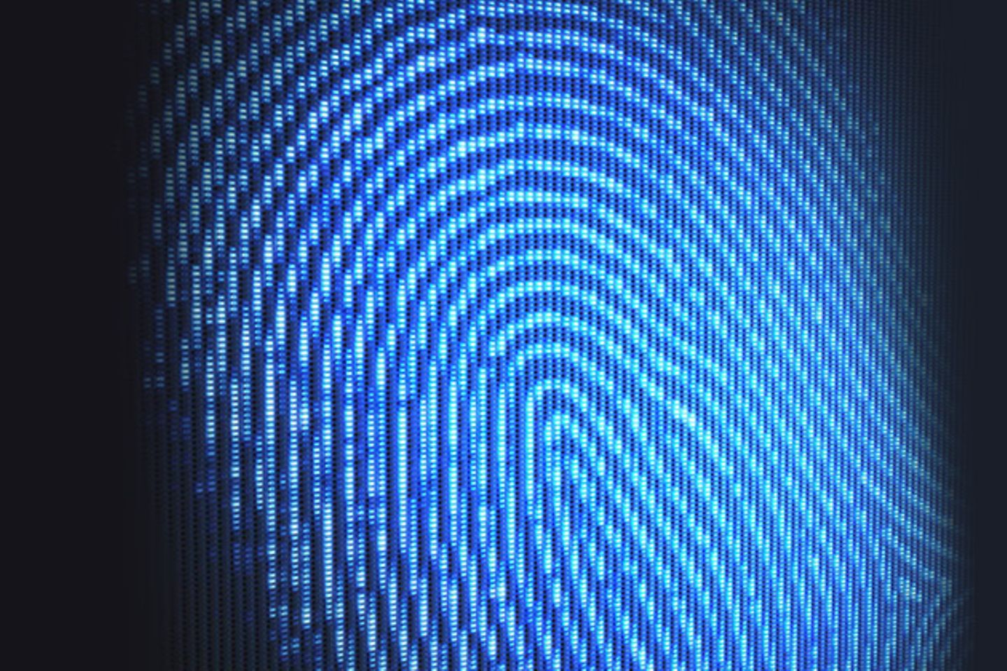 Digital fingerprint