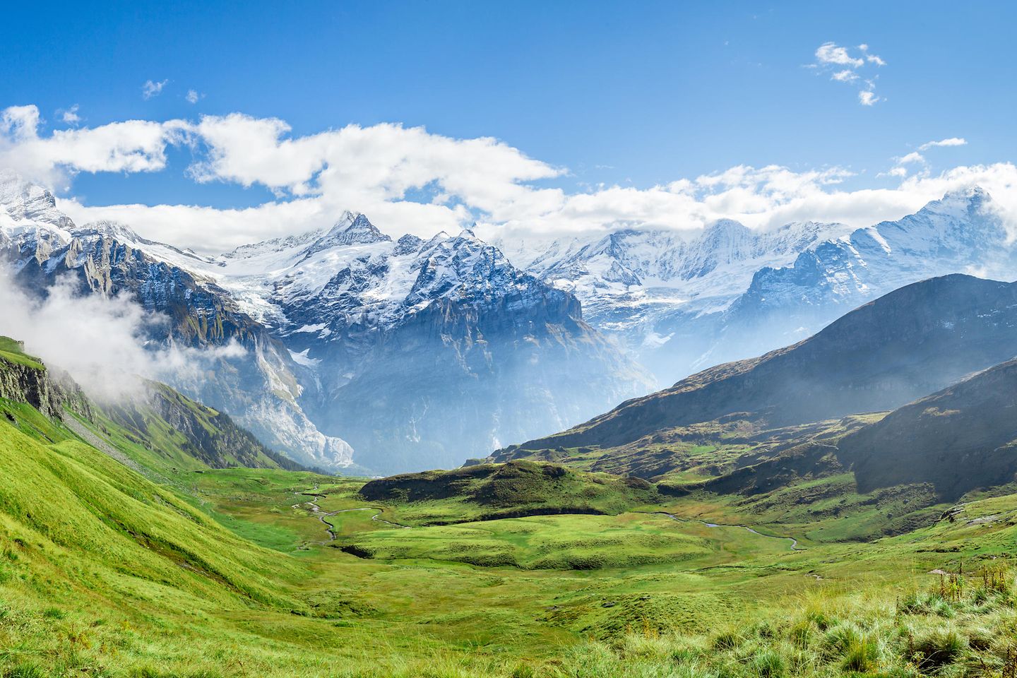 Schweizer Alpen mit grüner Wiese im Vordergrund und Gebirge im Hintergrund