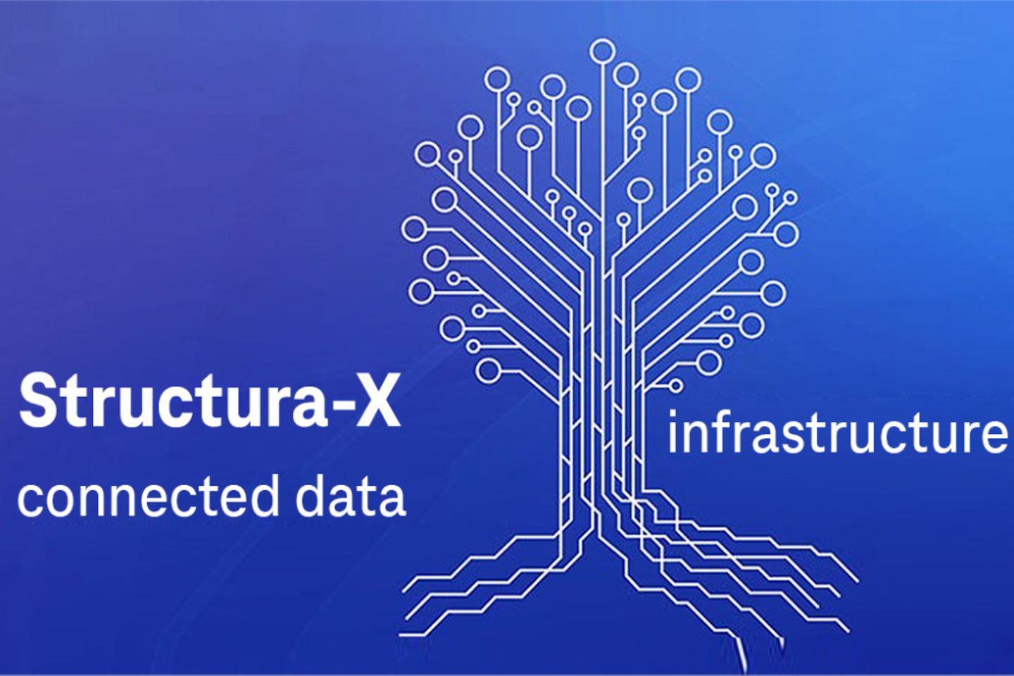 Structura X Visual with a tree made of connected data