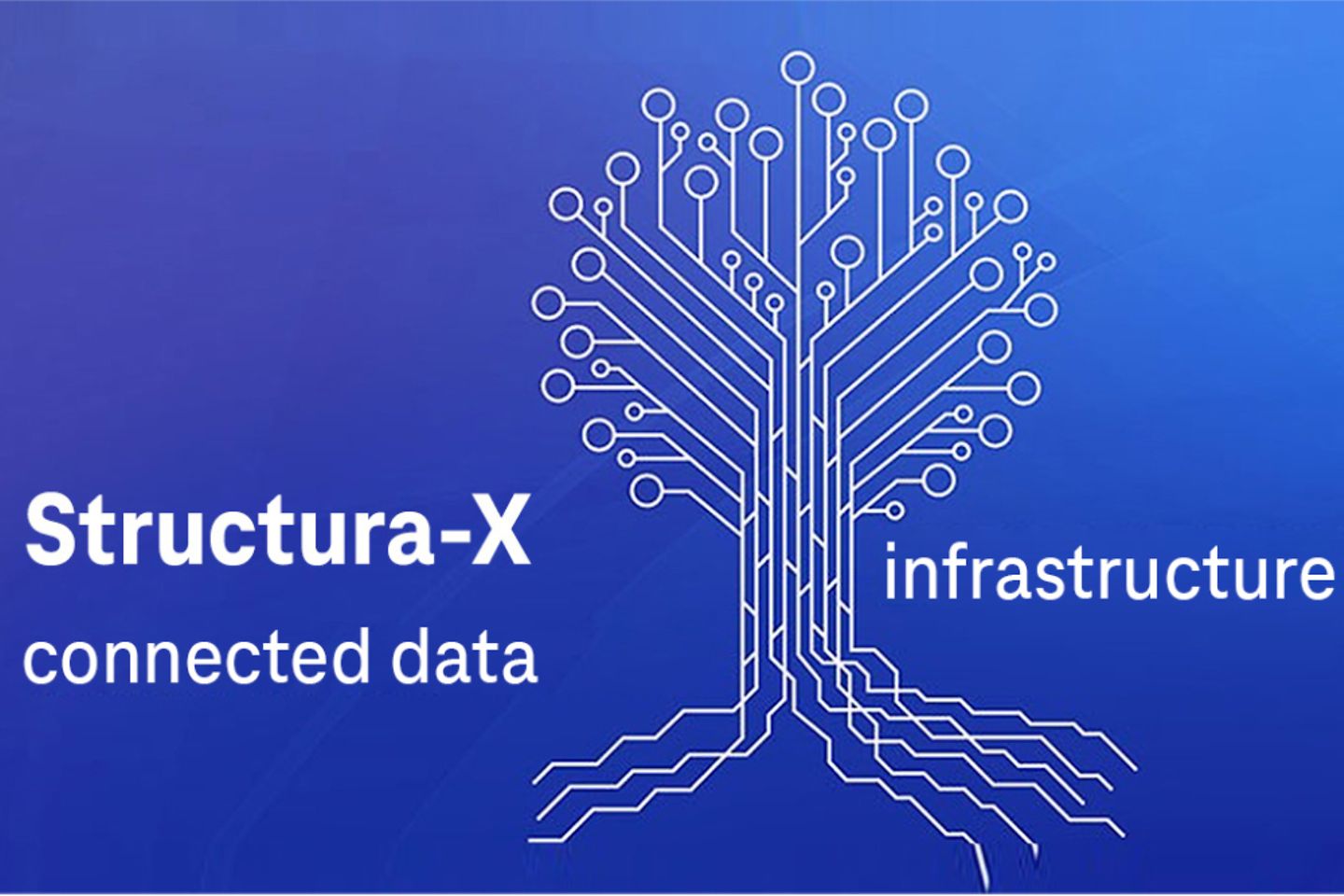 Structura X grafiek met een boomstructuur van verbonden gegevens