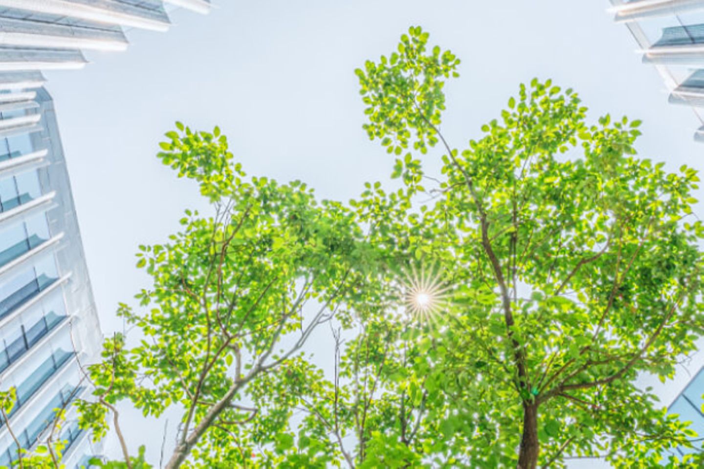 Vogelperspektive auf ein Gebäude mit einem Baum und der Sonne in der Ecke.