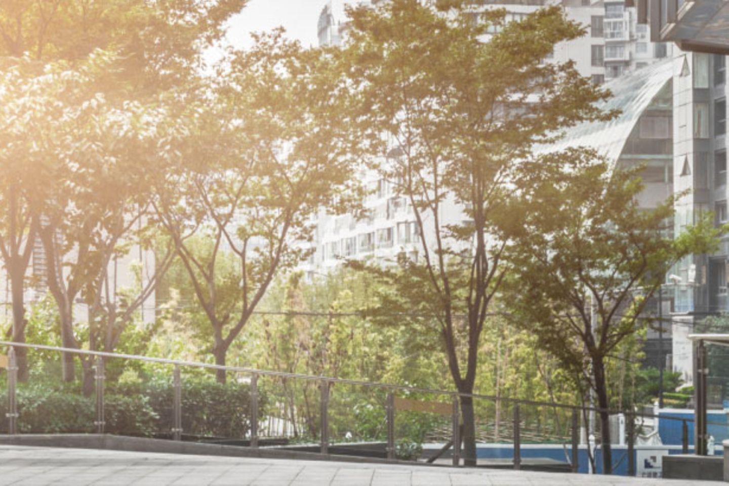 Trees next to a high building 