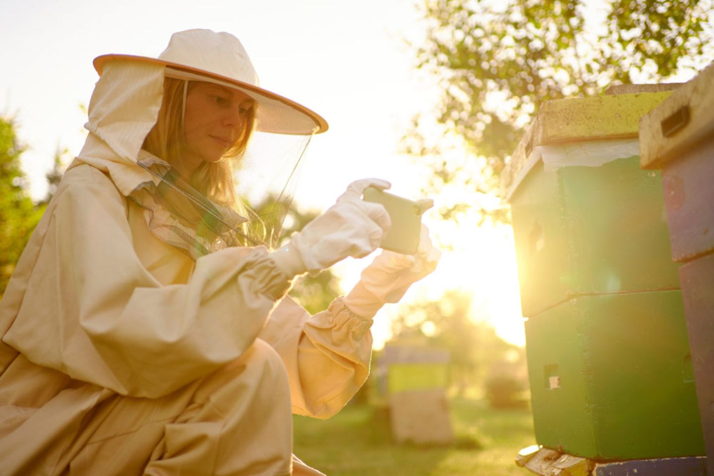 Uma mulher com uma roupa de proteção filma uma colmeia