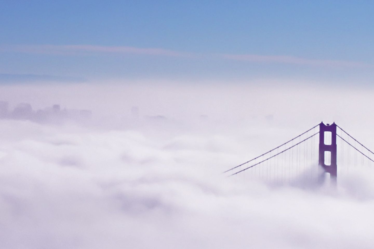 Golden gate bridge ragt aus einer Wolkendecke