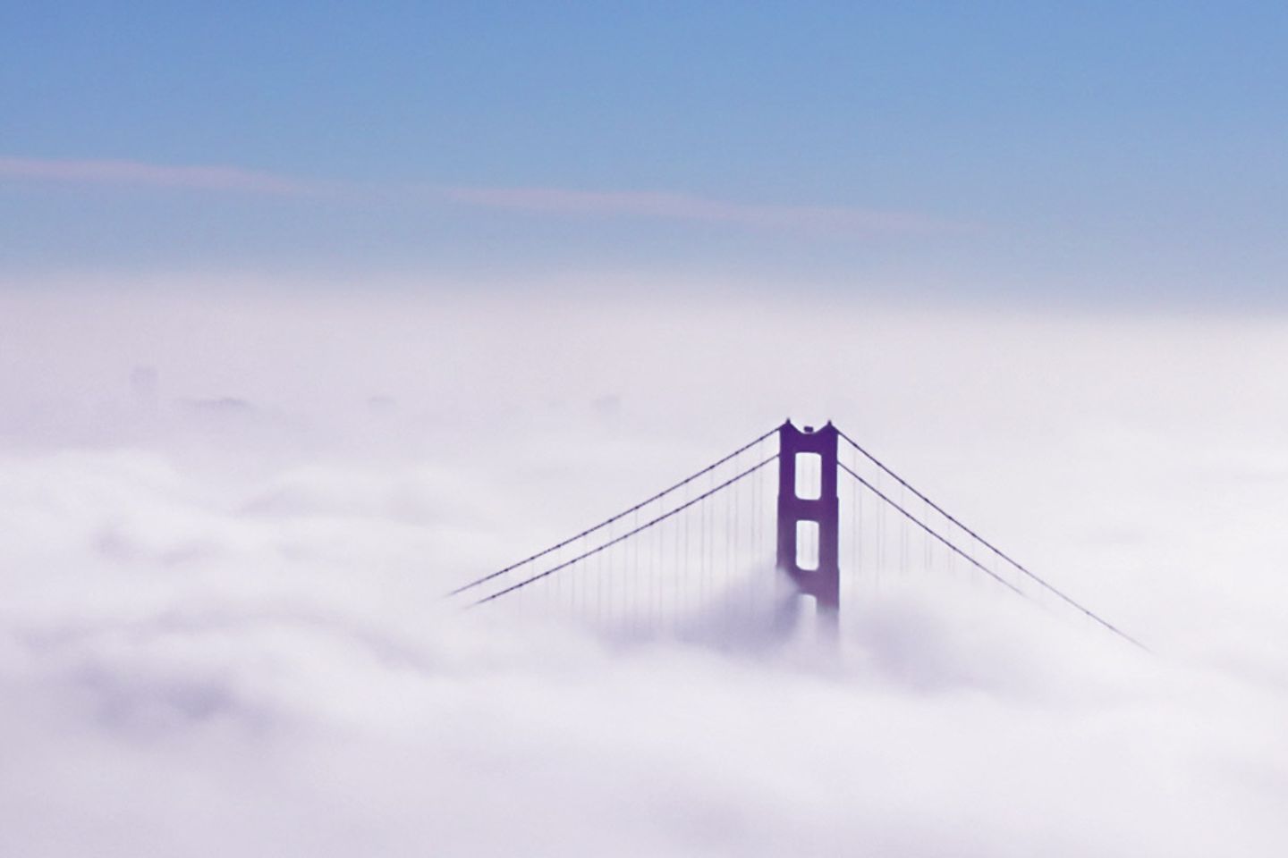 Golden gate bridge rises from a cloud cover
