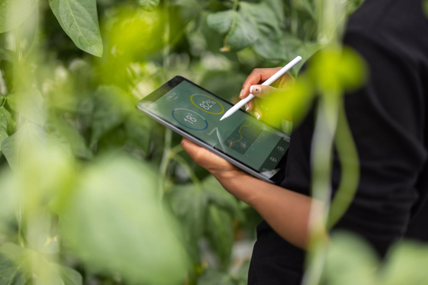 Agronomin mit digitalem Tablet zur Analyse der Anpflanzungen