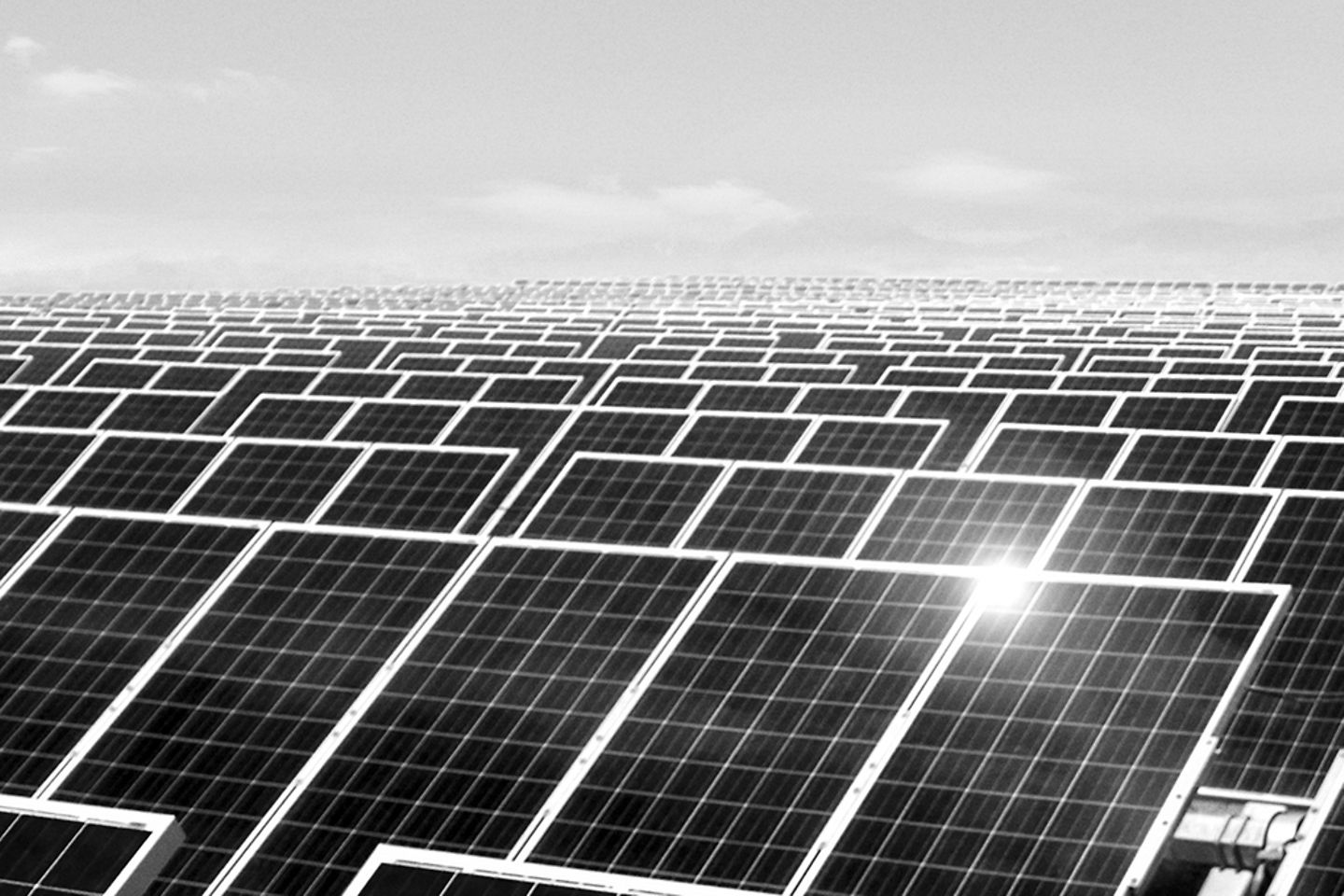 schwarz-weiß Bild von einer Solarfarm