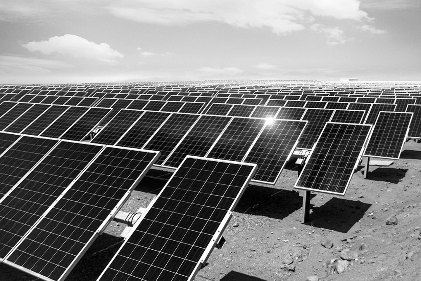 schwarz-weiß Bild von einer Solarfarm