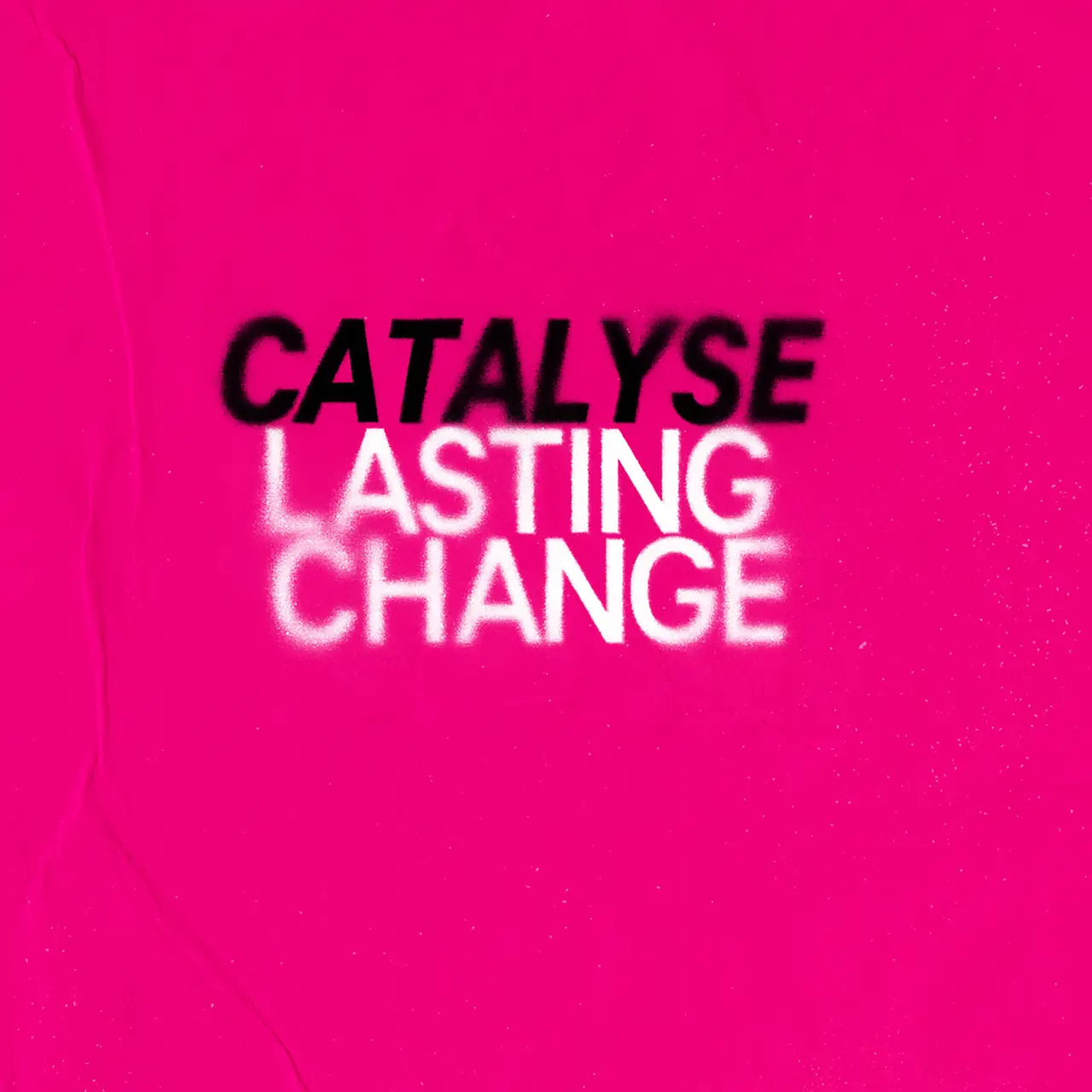 Schriftzug „Catalyse lasting change“