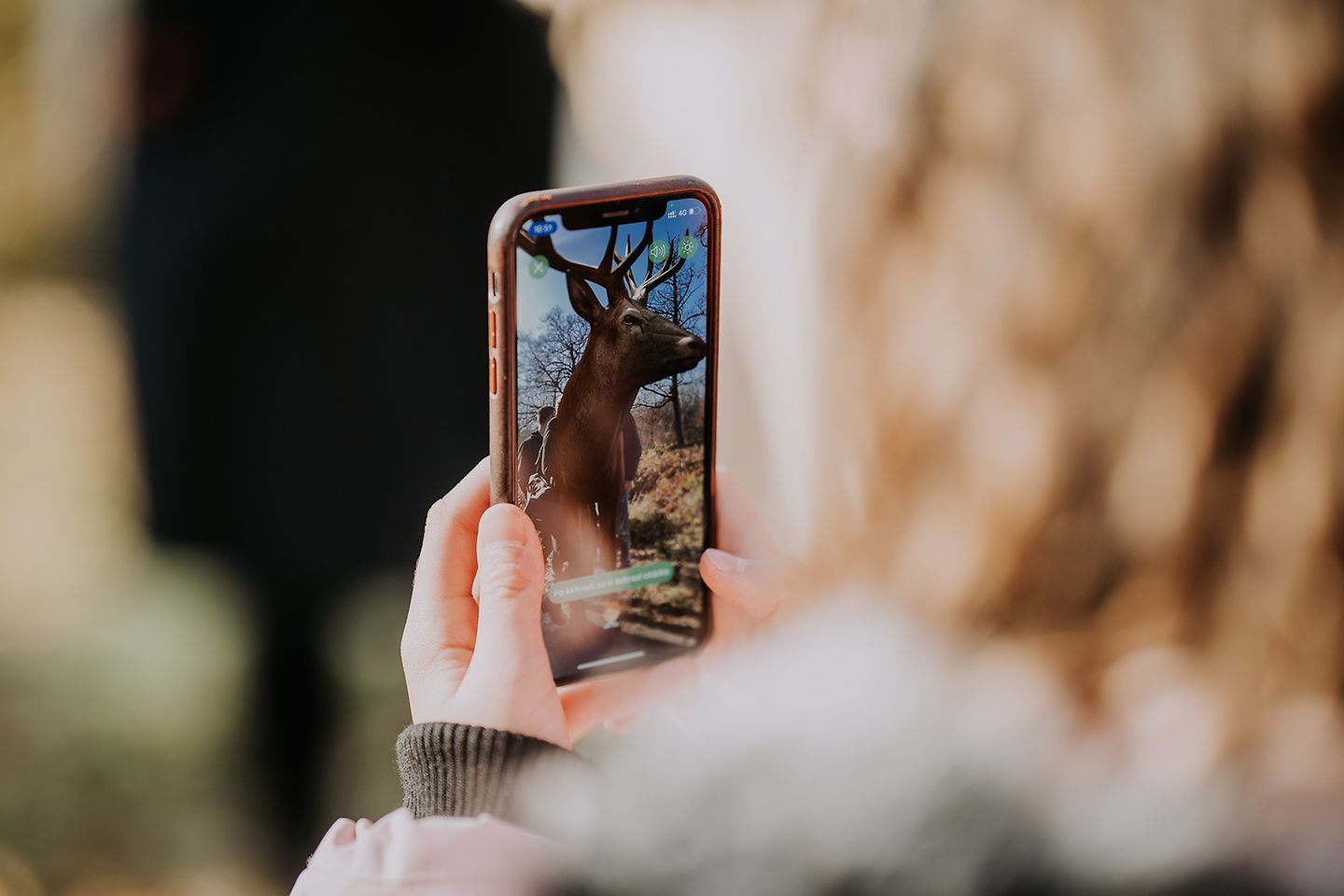 Smartphone zeigt Bild eines Hirsches, wird in einer Hand gehalten