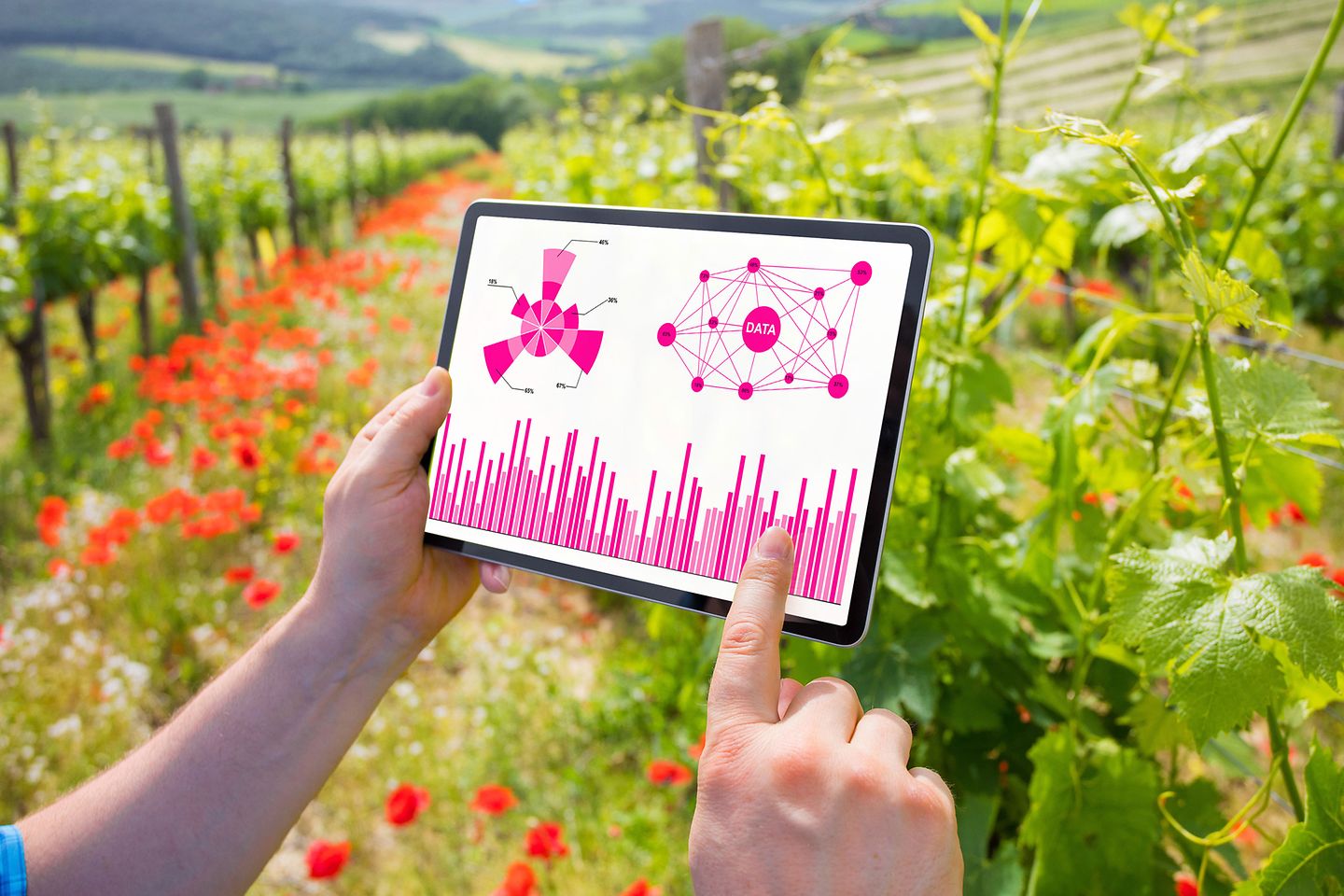 ipad with a graphic representation in front of a flower meadow