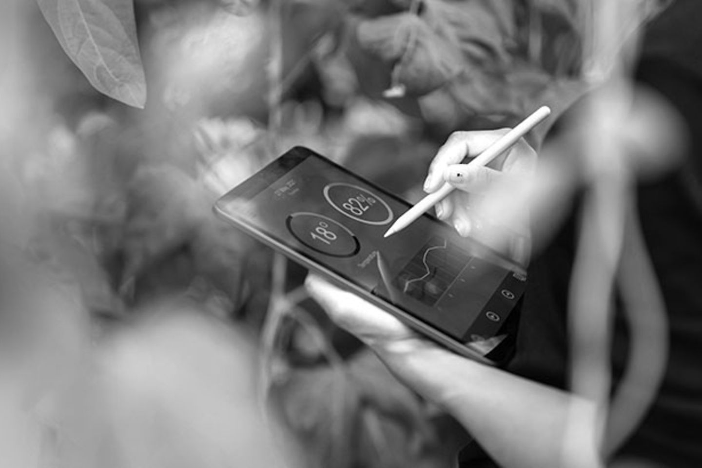 Een persoon met een tablet bedekt door groene planten