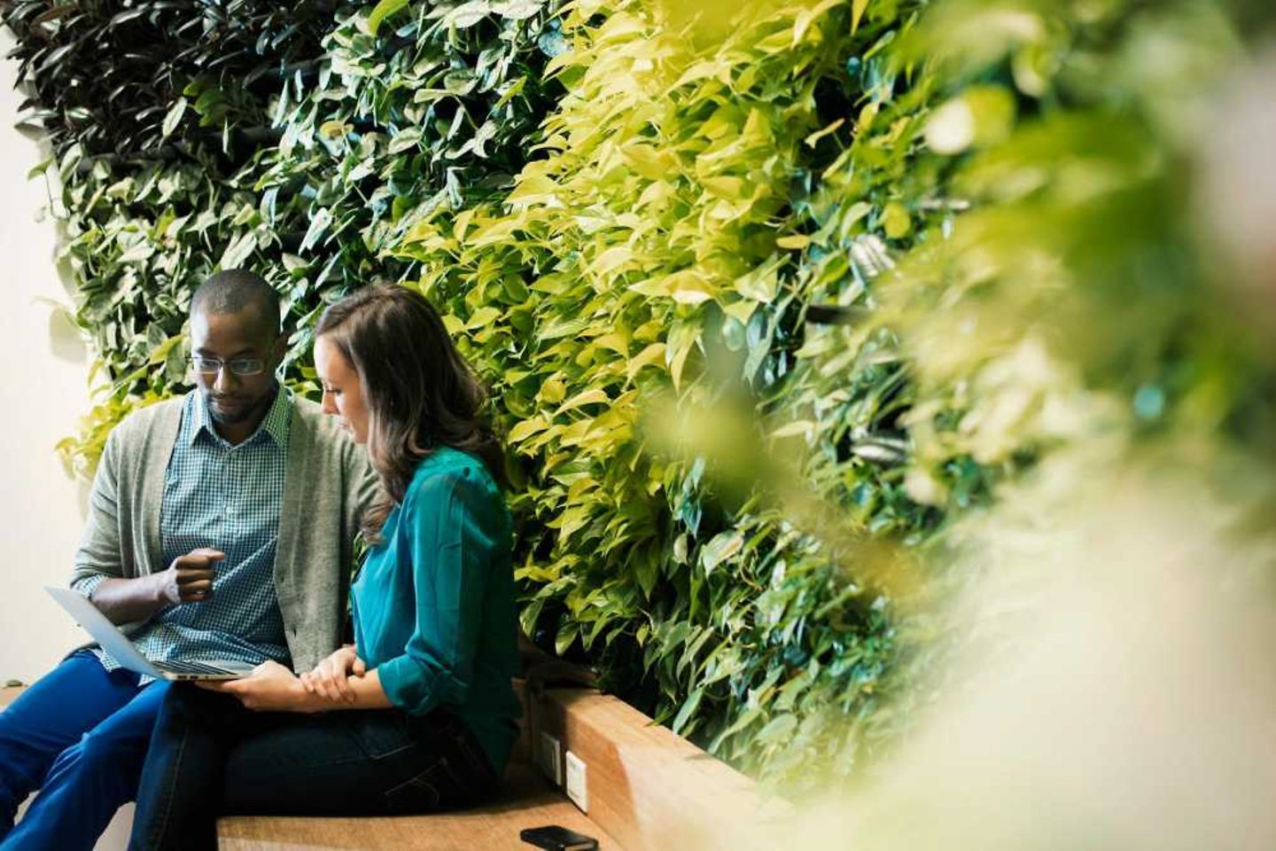 Businessman and woman sitting in front of green plant wall, using laptop 